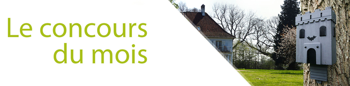 article_banner-novembre